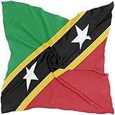 PMAIHNAS Women's Fashion Silk Scarf Square Satin Headscarf Neck Scarf Head Hair Wraps