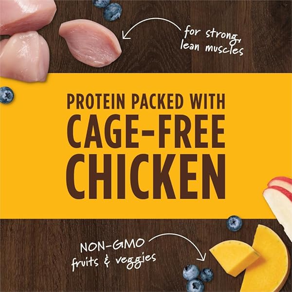 INSTINCT RAW BOOST MIXERS, FREEZE DRIED DOG FOOD TOPPER, GRAIN FREE – CAGE FREE CHICKEN, 14 OZ. BAG