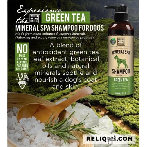 reliq mineral spa shampoo
