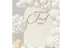 SANDOO On Cloud Nine Decal for Ballon Arch Peel and Stick - Cloud Baby Shower Decorations,We are On Cloud 9 Welcome to Baby Shower Sign,Gender Reveal Party Stickers, On Cloud Nine Bridal Shower Decorations