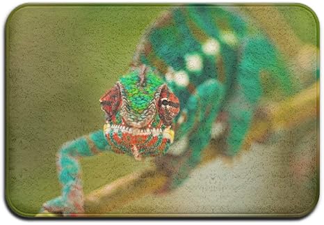 Amazon ドアマット敷物カメレオンソフト滑り止めリビング寝室敷物正面玄関マット内側外側マット敷きパッド 60x40cm 玄関マット オンライン通販