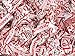 Hersheys Kisses Candy Cane Christmas Edition 2 Pounds Approx. 190 Kisses