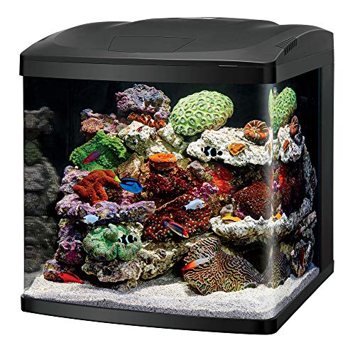 Coralife BioCube Aquarium