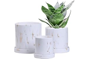 Ton Sin Marble Flower Pots Set of 3,Plant Pot with Drainage and Saucer,Succulent Pots for Indoor Plants,5.9"&5.0"&3.9" Inch Planters,Garden Pots(Gold)