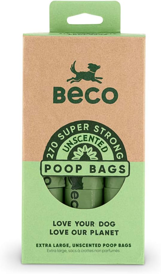 golden retriever in a flat