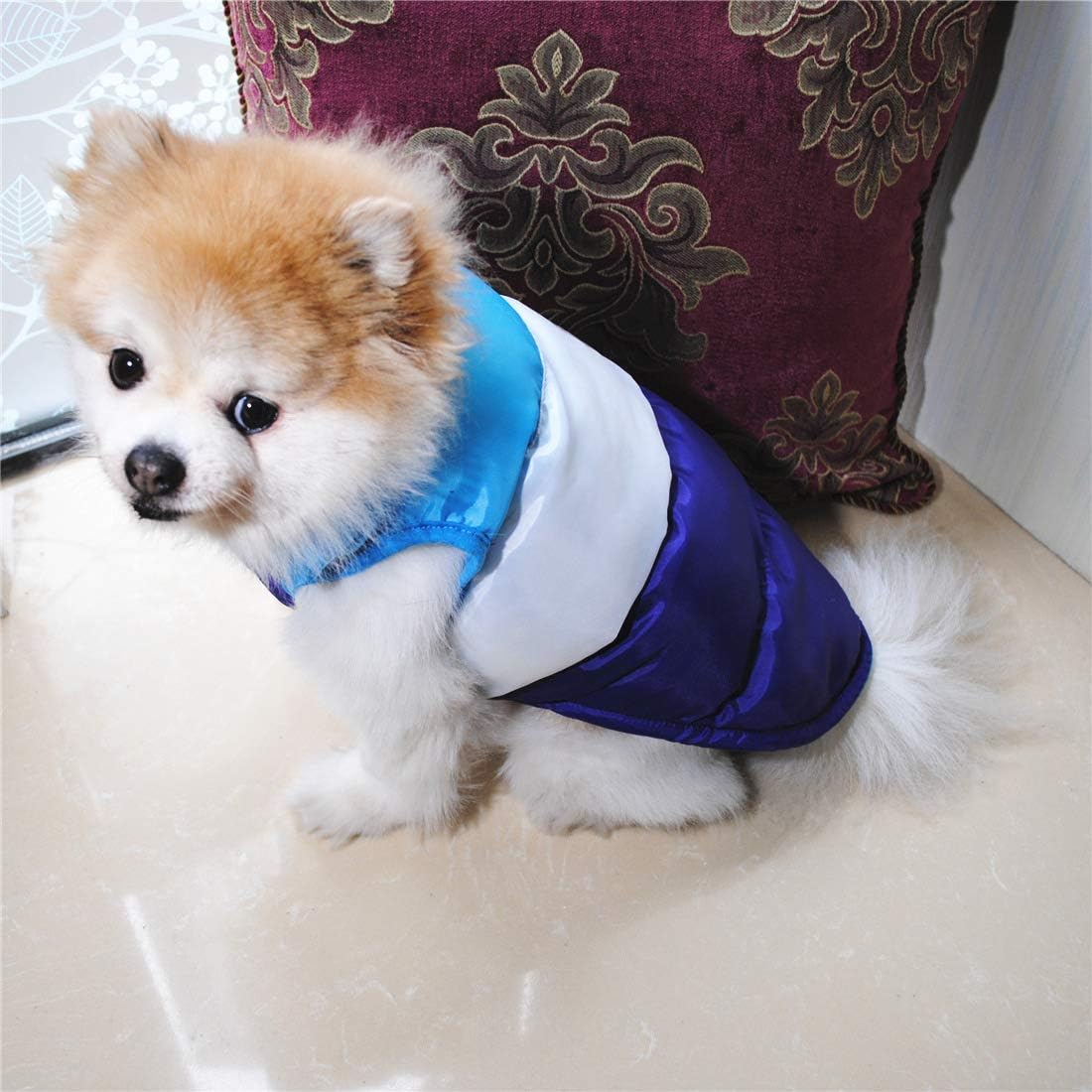 N / A Pet Winter Clothes,Dog Winter Warm Coat Jackets Dog Clothing Costume for Puppy Small Dogs Medium Dogs(M, Blue) - Image 5