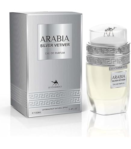 Amazon.com : Bois 1920 Vetiver Ambrato Eau De Parfum Spray 3.4 Oz