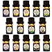 Zen Breeze Essential Oils for Oil Diffuser - Top 14 Aromatherapy Essential Oils - 100% Pure Therapeutic Grade - Lavender, Eucalyptus, Lemon, Peppermint, Sweet Orange, Tea Tree, Bergamot, 8 More