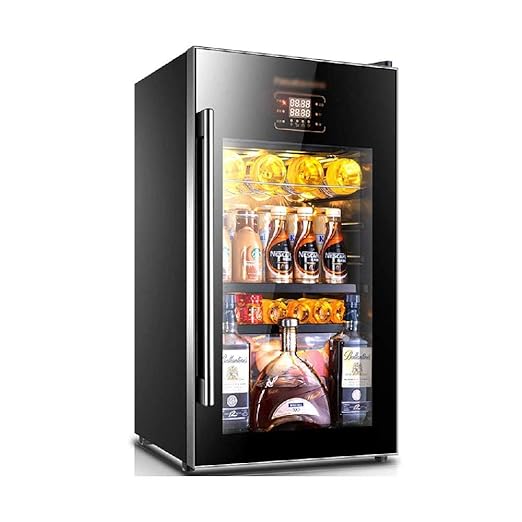BEANFAN Pequeña Bodega Nevera, Enfriador de Bebidas de Doble ...