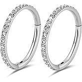 2PCS Titanium Nose Rings 18G 16G CZ Hoop Nose Ear Clicker for Women 8mm 10mm Hinged Segment Septum Lip Rings Tragus Conch Helix Cartilage Rook Daith Piercing Jewelry Silver- Gold