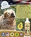 Oatmeal Shampoo for Dogs with Aloe Vera. Hypoallergenic Dog Shampoo for Allergies and Itching. Ideal Pet Shampoo for your Dog Grooming Supplies - Dog Bathing Supplies. Best Cat Shampoo & Puppy Shampoo