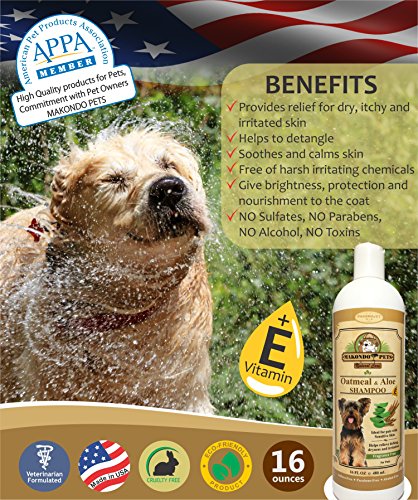 Oatmeal Dog Shampoo with Aloe Vera and Vitamin E - Hypoallergenic Dog Shampoo for Pets with Dry, Sensitive or Itchy Skin - All Natural Fragrance Free, 16 Ounces of the Best Dog Shampoo for Dry Skin