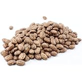Shell Pinto Bean Seeds - 100 Count Seed Pack - Tasty and Easy to Grow, These Make for Great chilies and refried Beans. - Country Creek LLC