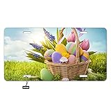 Lefolen Easter Eggs Front License Plate Aluminum