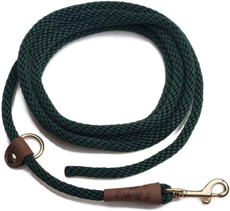 ez lead dog leash