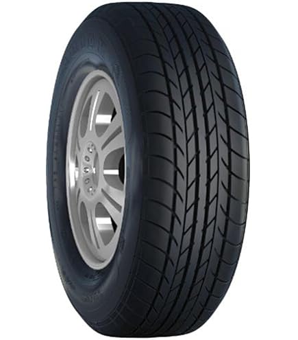 Amazon.com: Dunlop 267028902 ENASAVE 01 All-Season Radial Tire