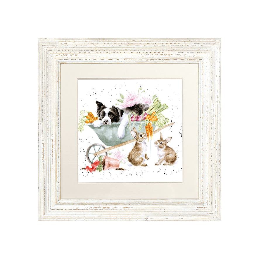 Wrendale Designs Framed Greeting Card Sleeping On The Job Dog and Rabbit Picture (Distressed White)