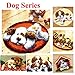 BYT Collections 15 Model Dog Latch Hook Kits Rug Dog023 20 by 20 Inch (1 Pack)