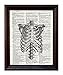 Anatomical Human Rib Cage - Printed on Upcycled Vintage Dictionary Paper - 8