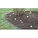 Dimex EasyFlex Easy and Quick No Dig Yard Landscape Border Edging, 40-Foot with 12-Piece Spikes and Connector