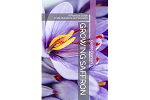 Growing Saffron: A Practical Guide in 100 Questions and Answers