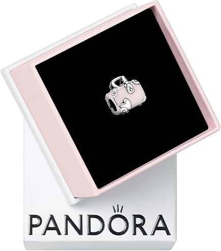 Amazon.com: PANDORA Openable Passport Dangle Charm - Compatible