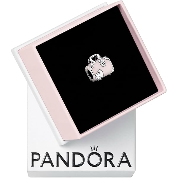 Amazon.com: PANDORA Openable Passport Dangle Charm - Compatible