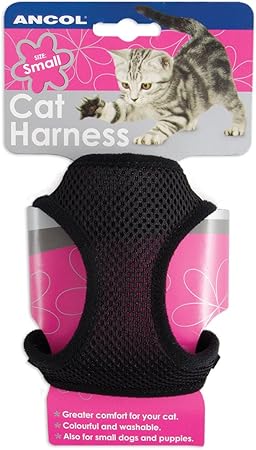 World S Best Cat Litter Extra Strength Reviews Zooplus Co Uk