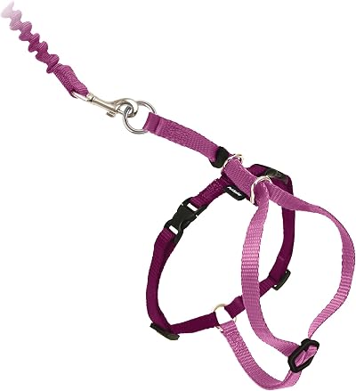 PetSafe Come With Me Kitty Harness and Bungee Leash Large Dusty Rose Burgundy