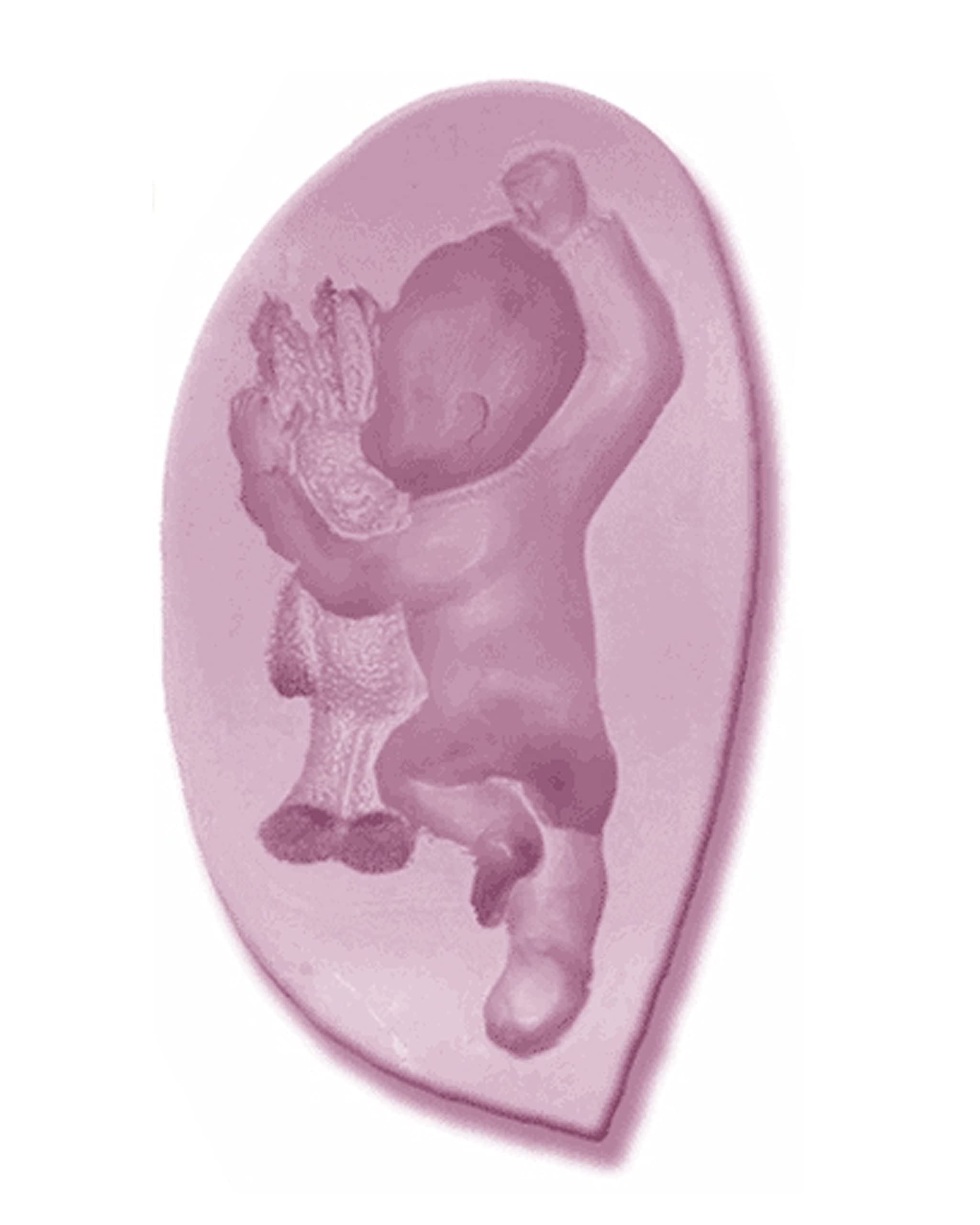 Baby Sleepy with Bunny Large