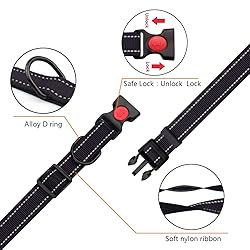 Reflective Dog Collar and Leash Set with Safety