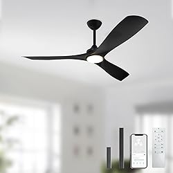 BvenuBigLite Black Ceiling Fan with Light: 3 Blades