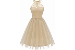 Dressystar Women's Short Halter Cocktail Party Dress Lace Tulle Prom Gown