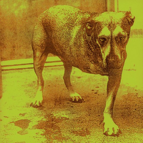 Alice in Chains Album Art
