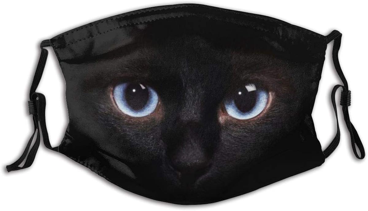 Eyes of Siamese Cat in The Dark Face Mask with Replaceable Filters