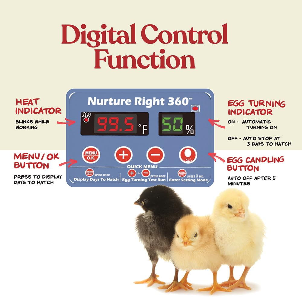 Harris Farms Nurture Right Egg Incubator for Hatching Chicks, Holds 12-22 Eggs, Automatic Turner with Temperature and Humidity Control, 360 Degree View with Clear Window, Incubator for Chickens