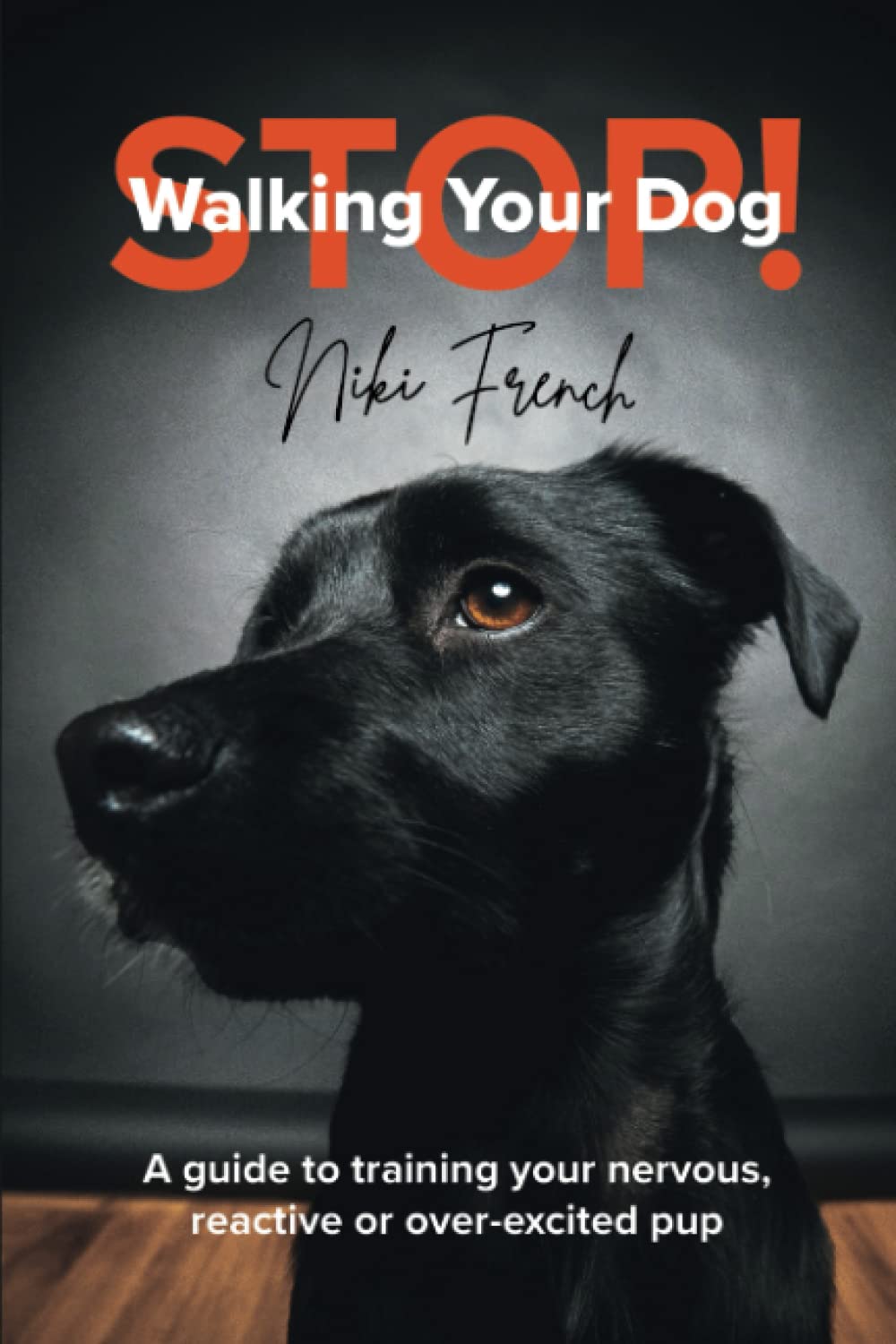 walking reactive dog