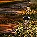 OxyLED Solar Path Lights, LED Garden Pathway Lights Solar Powered, Auto On/Off Decorative Landscape Lighting Security Light for Yard Patio Lawn Backyard Driveway Halloween Christmas (8-Pack)