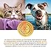 Solid Gold Digestive Enzyme Supplement for Healthy Digestion in Dogs & Cats; D-Zyme, Natural, Grain-Free Supplement Powder (6oz Tub) with Probiotics & Superfoods