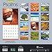 2017 Psalms Wall Calendar