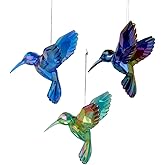 Kurt Adler Shiny Acrylic Hummingbird Ornaments, Set of 3, Assorted) for Christmas