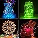 Ylife Fairy Lights Battery Operated, 16.4 Ft 50 LED Waterproof Warm White Multi String Lights with Remote, Decorative Copper Wire Light for Festival Party (16 Colors)