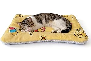 15.6×11.7 Inches Coral Fleece Pet Bed Mat - Warm Comfortable Cat & Dog Bed Pad, Random Colors, Pet Supplies for Sleeping