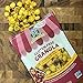 Bakery on Main Gluten Free Non GMO Granola, Cranberry Almond Maple Flavor, 11 Ounce