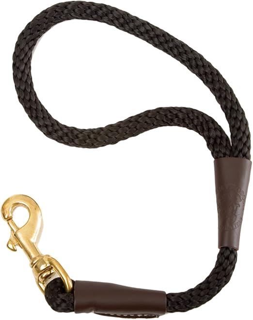 english bull terrier puppy for sale