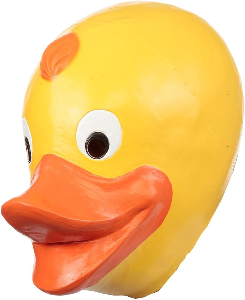 funny rubber ducky