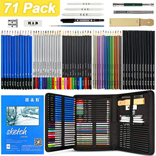 LadyRosian 71PCS Drawing Pencils Set, Portable Professional Sketch Kit, Graphite Charcoal Pencils Erasers Sketch Book Set Art Supplies for Kids, Adults and Artists