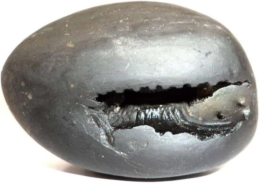 Indikart Export Shaligram - Laxmi Narsimha (Original from Gandak River)