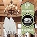 TCP 40W Equivalent, LED Frosted Torpedo Deco Light Bulbs, ENERGY STAR Certified, Dimmable, Soft White (2 Pack)