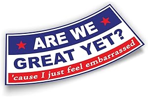 TAYTA are We Great Yet Bumper Sticker Cause I Just Feel Embarrassed US Flag Funny Gifts Political Joke Humor Vinyl Bumper Sticker for Car Truck Window Wall Waterproof UV-Resistant (Design 1)